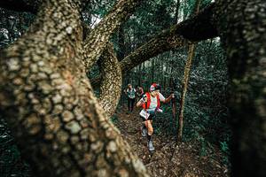 BIB: 
                            <button type="button" onclick="openModal(25393301)" class="btn btn-primary btn-sm float-right btn-popup" data-toggle="modal" data-target=".modal-high-quality">
                        <i class="fas fa-shopping-cart"></i> Add to Cart
                    </button>
                                            <button type="button" onclick="isThisMe(25393301, true)" class="btn btn-success btn-sm float-right btn-popup btn-isme hidden" data-toggle="tooltip" data-placement="bottom" title="นี่คือรูปของคุณใช่ไหม คลิกที่นี่เพื่อเอาเข้าอัลบั้ม">
                        <i class="fas fa-plus"></i> Add to album
                    </button>
                    <button type="button" onclick="isThisMe(25393301, false)" class="btn btn-warning btn-sm float-right btn-popup btn-isnotme hidden">
                        <i class="fas fa-ban"></i> Remove from album
                    </button>